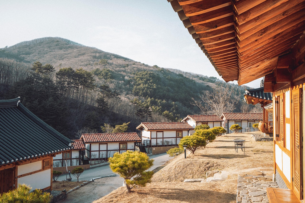 대한민국 자동차 평균 수명과 관리 팁 안내